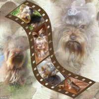 /album/orion1/just-me-1nvpq-1ag-normal-jpg1/